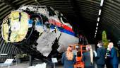FILEPIX: Presiding Judge Hendrik Steenhuis inspects the reconstruction of the MH17 wreckage, as part of the murder trial ahead of the beginning of a critical stage, in Reijen, Netherlands, May 26, 2021. REUTERSPIX