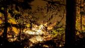 Fire burns in a forest near homes in Clefs-Val-D’Anjou, near La Fleche, western France on August 9, 2022. AFPPIX