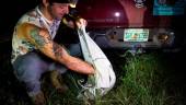 A professional python hunter, hired by the Florida Fish and Wildlife Conservation Commission (FWC) Enrique Galan keeps a Burmese python in a sack bag, in Everglades National Park, Florida on August 11, 2022. AFPPIX