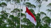 The Indonesian flag is raised during a ceremony at ground zero of Indonesia's future capital in Sepaku, Penajam Paser Utara, East Kalimantan on August 17, 2022, on the country's 77th Independence Day. - AFPPIX