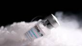 File photo: Vials labelled Covid-19 Coronavirus Vaccine are placed on dry ice in this illustration taken, December 4, 2020. REUTERSpix