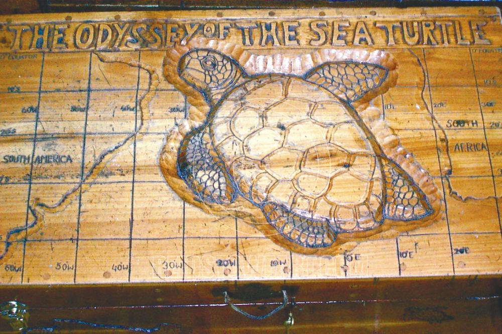 $!The Odyssey of the Sea Turtle. – Reid Stowe