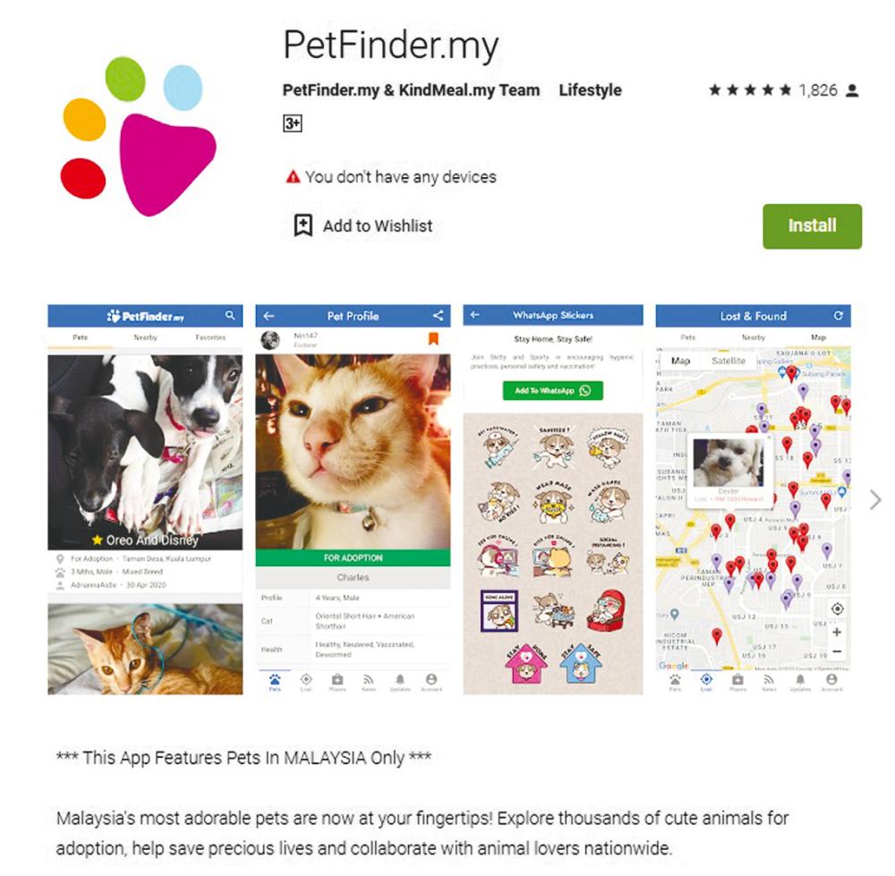 When looking for a pet, do consider adopting from Petfinder Malaysia.