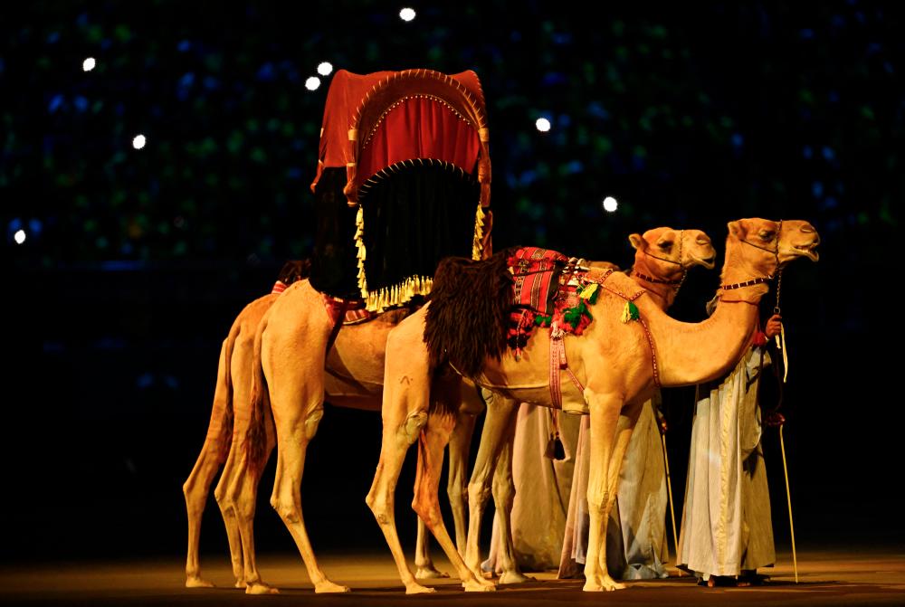 General view of camels during the opening ceremony. – REUTERSPIX