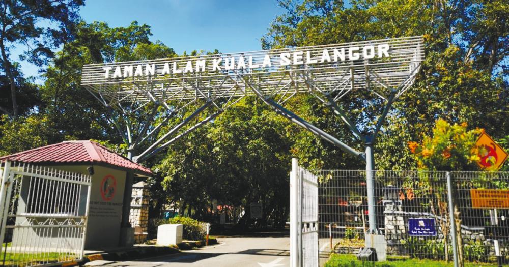Kuala Selangor Nature Park is a treasure trove for nature lovers.