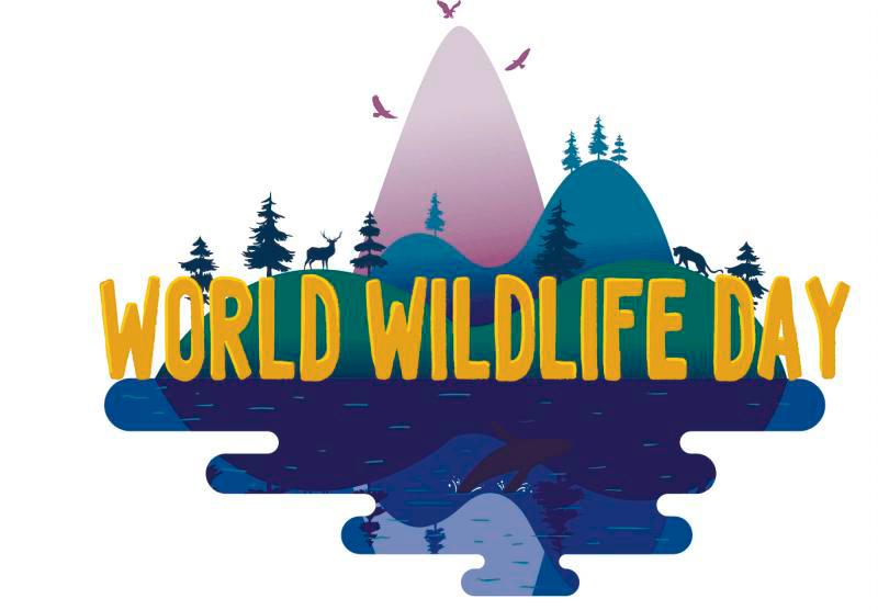 World Wildlife Day is observed on March 3 each year as a day to honour wildlife. – ALL PIX BY 123RF