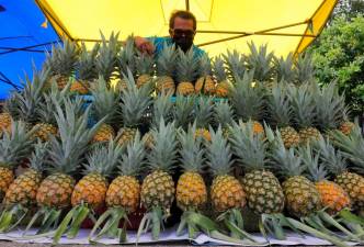 12MP: LPNM aims to raise income of pineapple growers up to RM8,000 a month thumbnail