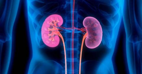 Malaysia in the throes of chronic kidney disease explosion, says nephrologist