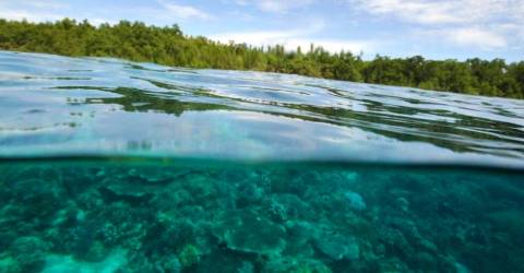 Indonesian islanders file Holcim climate complaint