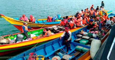 Menyewa RM5.400, dua pria membawa 18 imigran ilegal ke Johor
