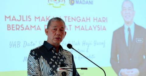 马来西亚打击针对其农产品部门的歧视性贸易做法：法迪拉