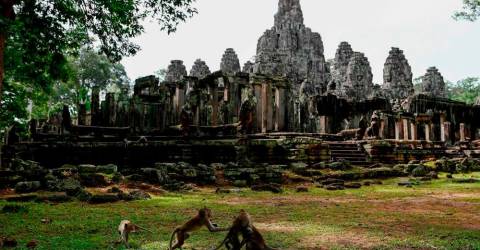 Cambodia’s famed Angkor records 602,570 int’l tourists in first 10 months