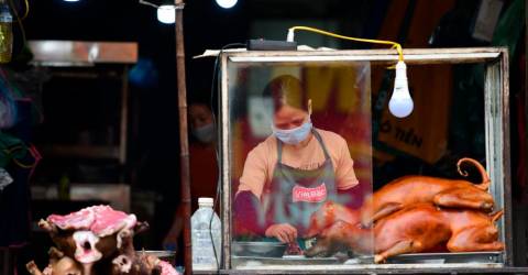 Une ville touristique vietnamienne s’engage à éliminer progressivement la viande de chien et de chat