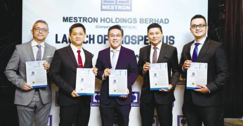 Share price mestron MESTRON HOLDINGS