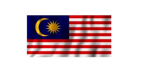 马来西亚-英国将贸易和投资委员会提升为部长级-Th​​eSundaily