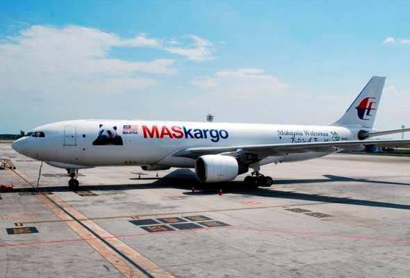 Healthy growth in air cargo sector