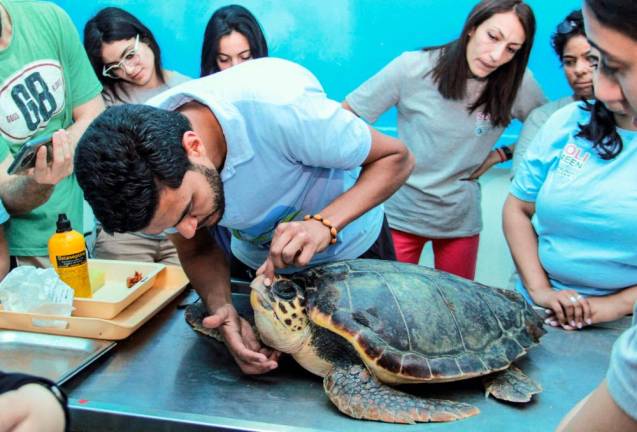 A scientist checks a sea turtle before releasing it into the sea on May 21, 2022, in the Tunisian coastal city of Sfax, about 270km southeast of the capital Tunis/AFPPix