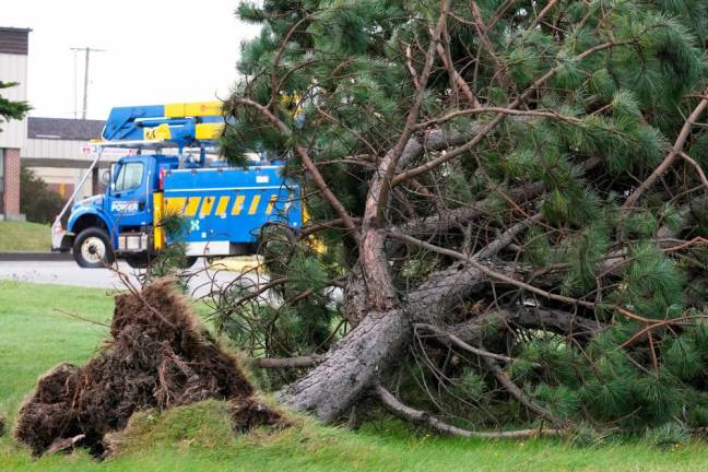 A fallen tree lies near a Newfoundland power truck parked after the arrival of Hurricane Fiona in Stephenville, Newfoundland, Canada/REUTERSPix