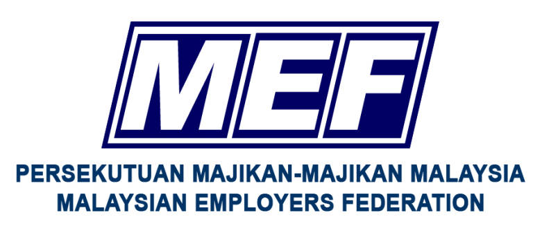 Image result for mef logo