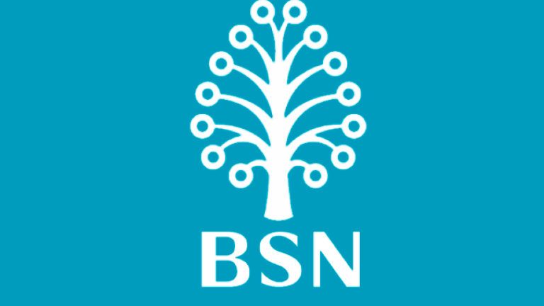 Bank Simpanan Nasional Logo : Assignment 2 Depository Institution Bank