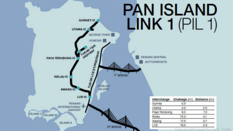 Environmental activists against Pan Island Link highway