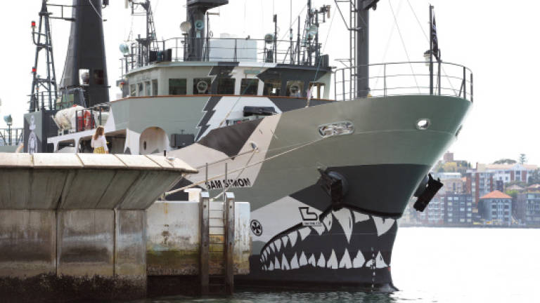 Sea Shepherd to switch campaign from whales to toothfish
