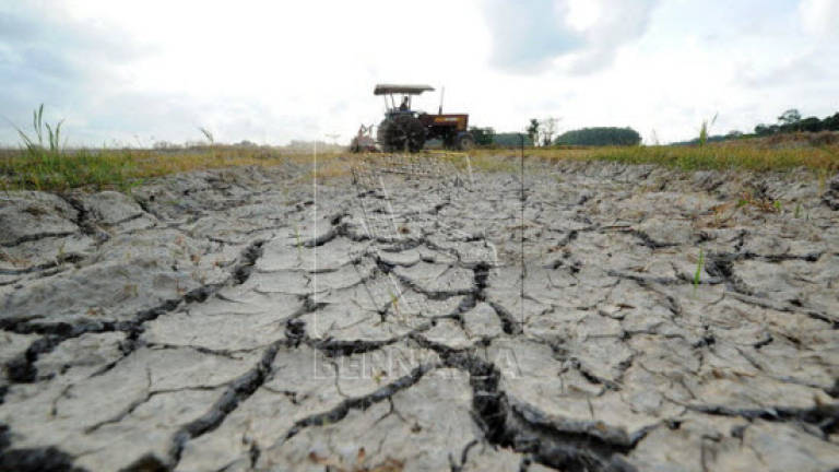 Drought in Indonesia affects nearly five million people