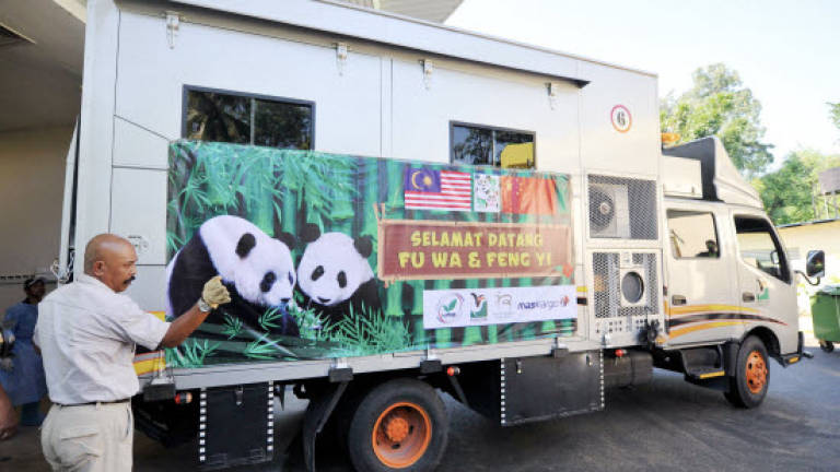 Najib to announce new names for Panda pair in June