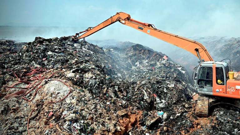 Nation needs better waste management, says expert
