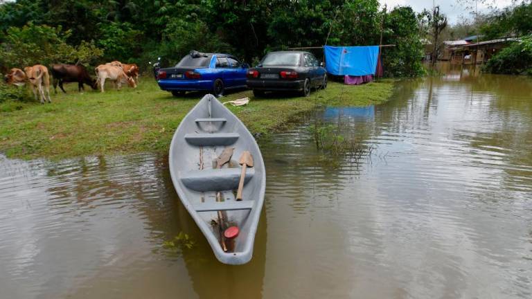 PASIR MAS, Feb 6 -- Vehicles and livestock were placed in a safe place by residents after their house yards were flooded during a survey in Kampung Tersang, Rantau Panjang today. BERNAMAPIX
