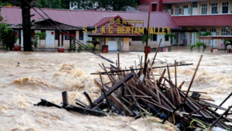 Cameron Highlands tragedy caused by greed, illegal land clearing