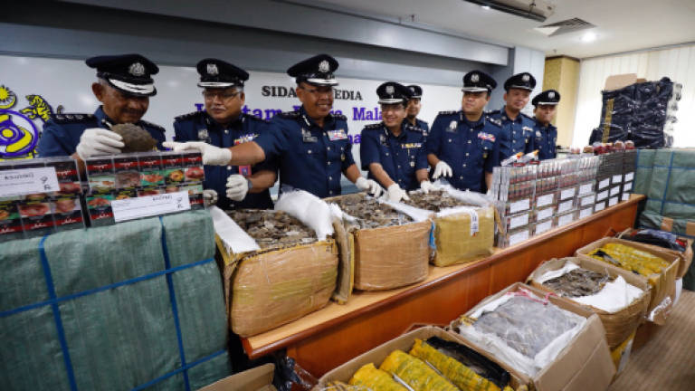 KLIA Customs seize 337kg of pangolin scales