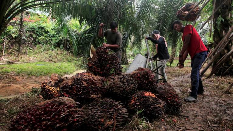 Minister of Plantation Industries and Commodities (MPIC) Datuk Zuraida Kamaruddin said Malaysia should slow down the implementation of its biodiesel mandate to help meet global demand amid an edible oil shortage.. BERNAMApix
