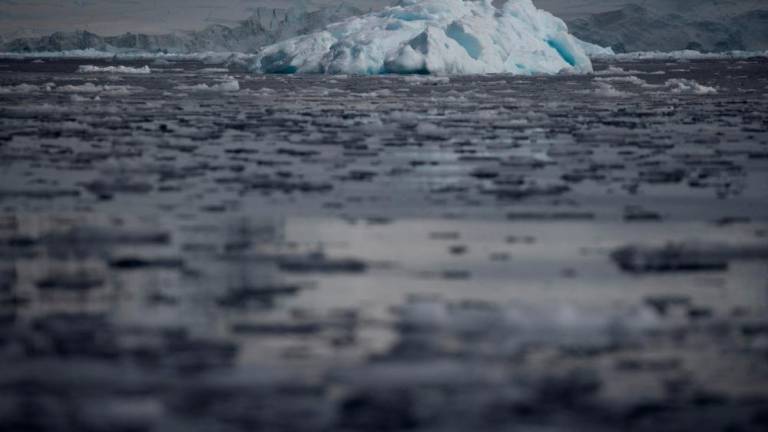 Small chunks of ice float on the water near Fournier Bay, Antarctica, February 3, 2020. REUTERSPIX