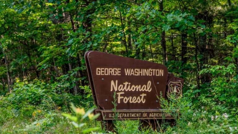 The entrance to George Washington National Forest where a Cessna crashed near near Montebello, Virginia, on June 5, 2023/AFPPix