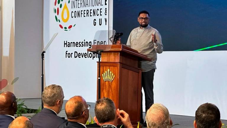 Ali, pictured here at Guyana's International Energy Conference in February, said on Wednesday the country will soon present its strategy for natural gas. – Reuterspic