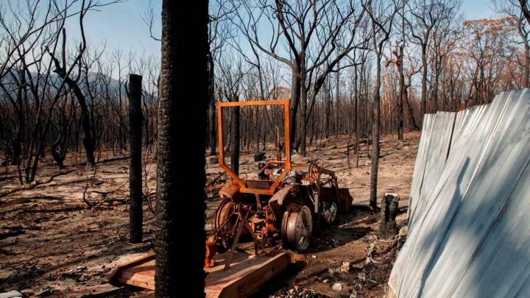 A burned tractor stands amid dead trees after a wildfire destroyed the Kangaroo Valley Bush Retreat in Kangaroo Valley, New South Wales, Australia, January 23, 2020. REUTERSPIX