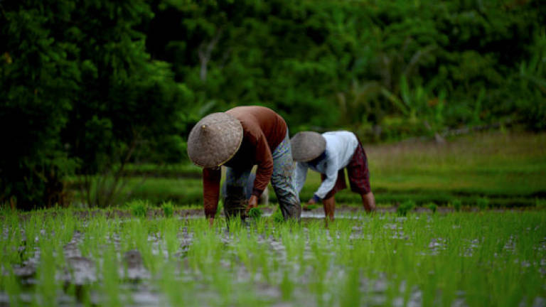 Thai farmers fear draft bill will impose water tax