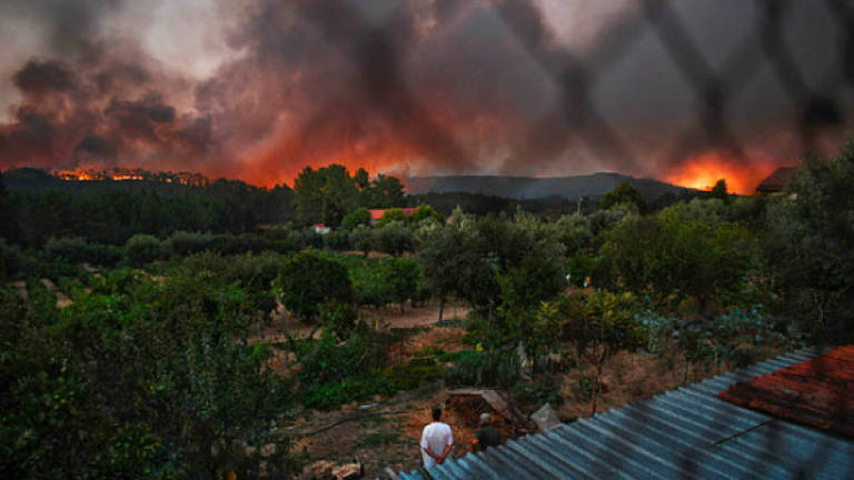 Portugal battles raging forest fires