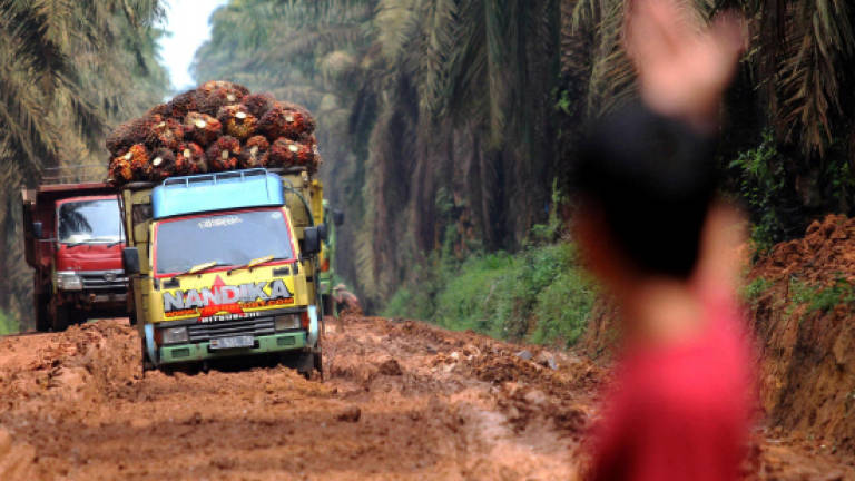 EU palm oil move can result in retaliation: Mah