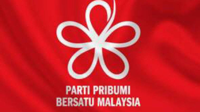 Image result for images of bersatu logo