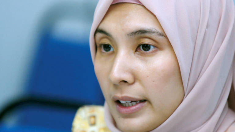 Allow public access to info on China investments, Nurul Izzah urges govt