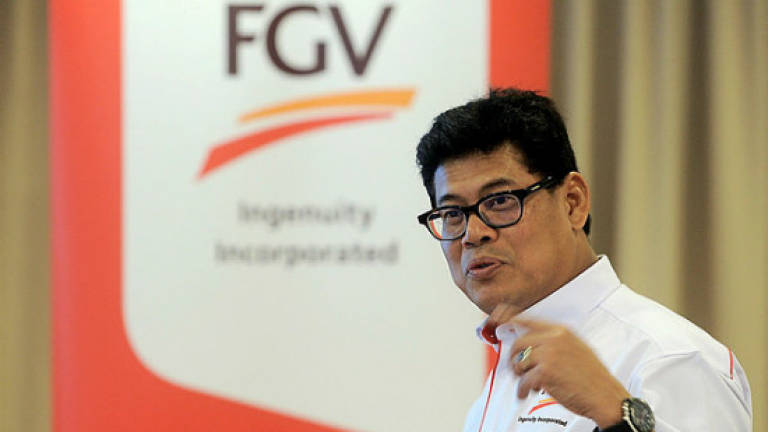 FGV not affected by EU ban on palm oil