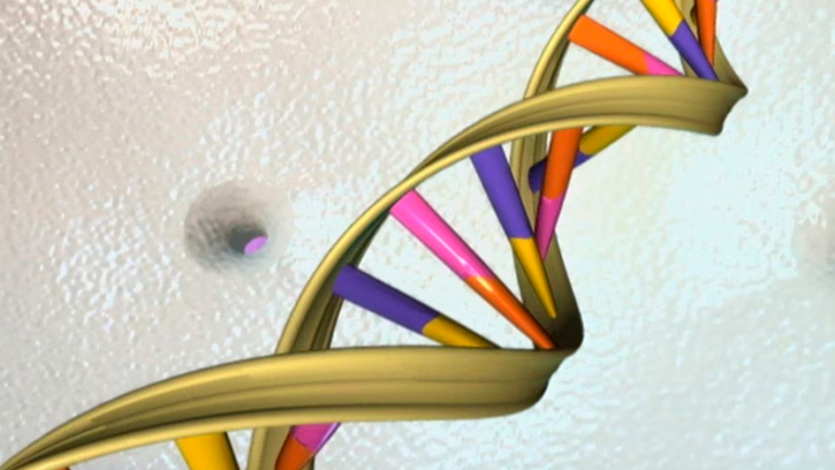 A DNA double helix is seen in an undated artist’s illustration released by the National Human Genome Research Institute to Reuters on May 15, 2012. REUTERSpix