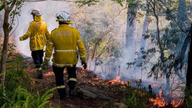 FILE PHOTO: New South Wales Rural Fire Service firefighters walk through a hazard reduction burn in Sydney, Australia, September 10, 2023. REUTERSPIX