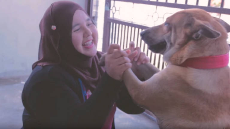 (Video) Jakim urges dog lover to repent