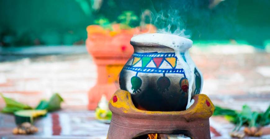 On Ponggal, milk is boiled in a pot until it flows over.