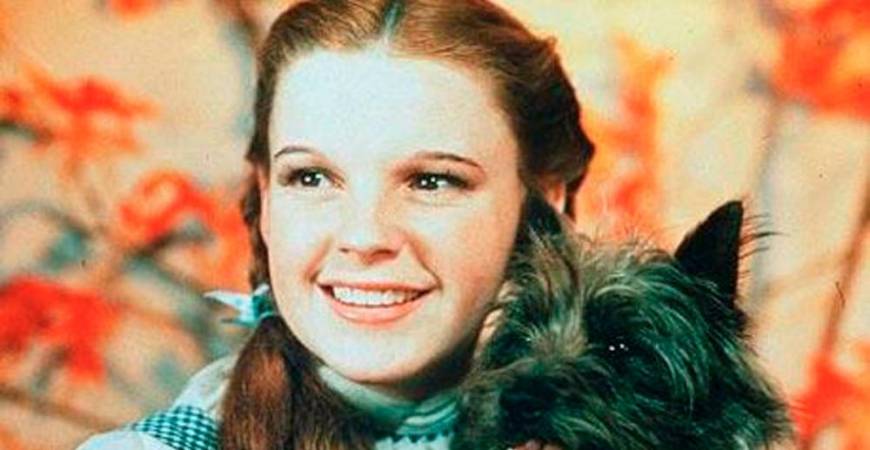 Toto from The Wizard of Oz. – REELRUNDOWN