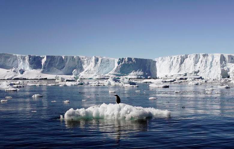 An Adelie penguin stands atop a block of melting ice near the French station at Dumont d’Urville in East Antarctica January 23, 2010. — Reuters