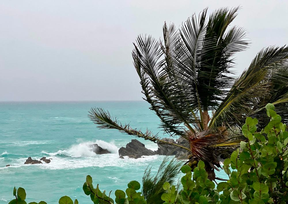 A palm tree stands in the wind in Church Bay, Bermuda, as Hurricane Fiona churned towards the Atlantic island as a powerful Category 4 storm on September 22, 2022. AFPPIX
